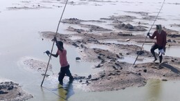 सांभर झील में साल 2019 में भी बोटुलिज्म से हुई 25000 पक्षियों की मौत, इस साल अब तक आंकड़ा पहुंचा 500