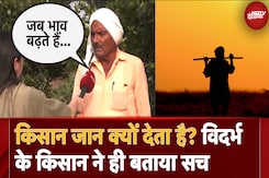 Maharashtra Politics 2024: स्थानीय MLA से क्यों नाराज हैं Farmers? संतरा किसानों के क्या हैं मुद्दे? Maharashtra Politics 2024: स्थानीय MLA से क्यों नाराज हैं Farmers? संतरा किसानों के क्या हैं मुद्दे?