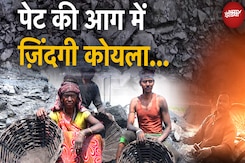 Jharkhand Coal Miners: 'साइकिल कोयला मजदूरों' की खतरनाक जिंदगी, कौन लेगी इनकी सुध? | Giridih News Jharkhand Coal Miners: 'साइकिल कोयला मजदूरों' की खतरनाक जिंदगी, कौन लेगी इनकी सुध? | Giridih News