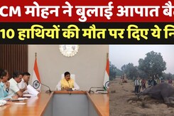 Bandhavgarh Tiger Reserve: CM Mohan ने बुलाई आपात बैठक , 10 हाथियों की मौत पर दिए ये निर्देश Bandhavgarh Tiger Reserve: CM Mohan ने बुलाई आपात बैठक , 10 हाथियों की मौत पर दिए ये निर्देश