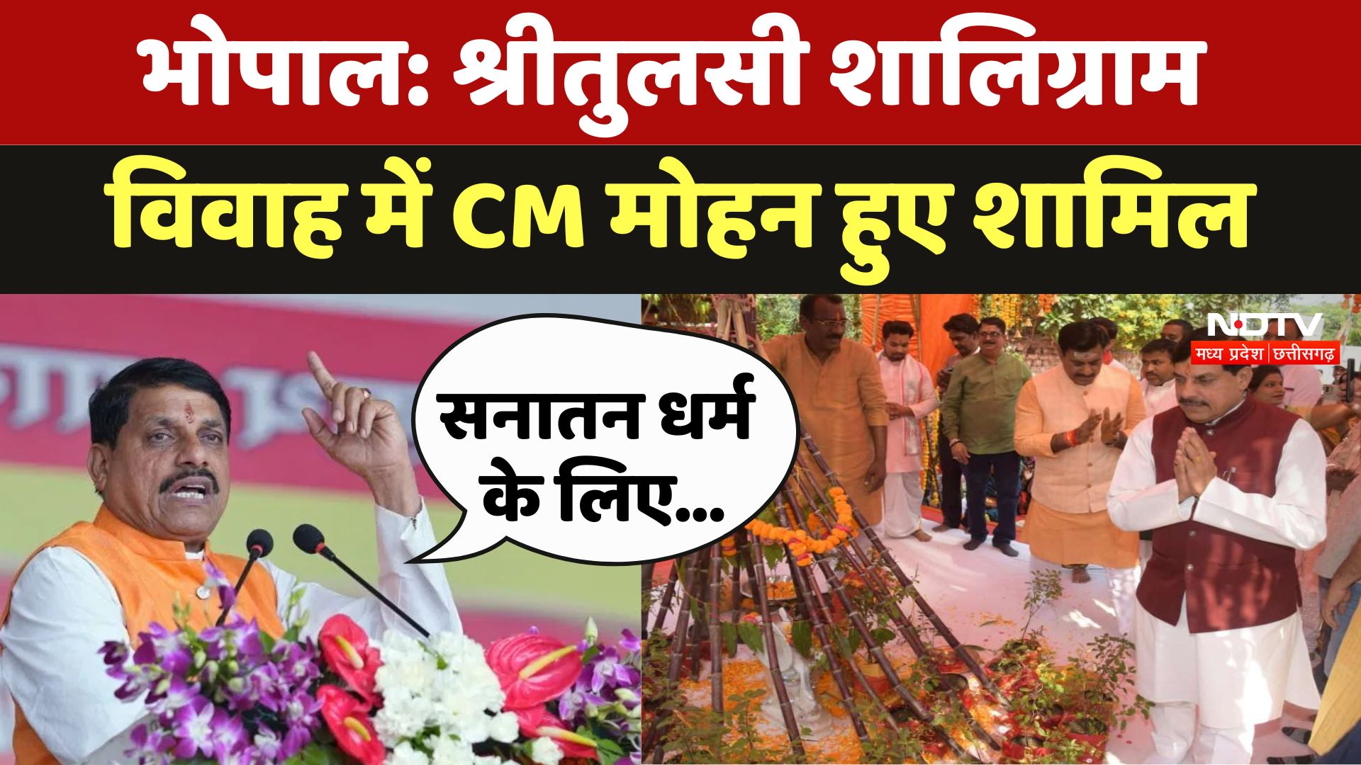 Shree Tulsi Shaligram Vivah में शामिल हुए CM Mohan, Dev Uthani Ekadashi की दी बधाई