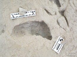 Fossil Footprints Show Two Ancient Human Ancestors "Crossed Paths" Fossil Footprints Show Two Ancient Human Ancestors "Crossed Paths"