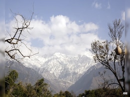 Trekking Above 3,000 Metres In Himachal's Kangra District Temporarily Banned Trekking Above 3,000 Metres In Himachal's Kangra District Temporarily Banned