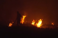 Stubble Burning Continues To Plague Punjab And Haryana Despite Supreme Court's Warning Stubble Burning Continues To Plague Punjab And Haryana Despite Supreme Court's Warning