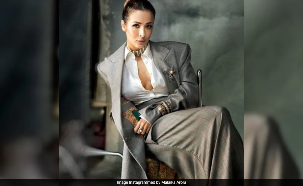 When Malaika Arora Travelled By Indian Train: "Make It Posh" - See Inside Pic