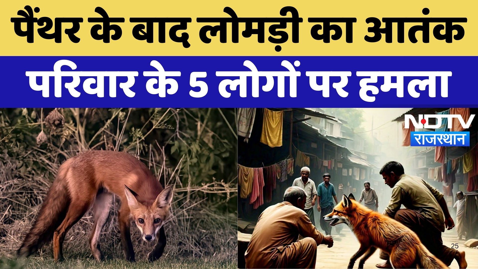 Banswara News : Panther के बाद Fox का आतंक परिवार के 5 लोगों पर हमला | Latest News | Rajasthan