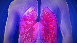 Lung Cancer: सिगरेट नहीं पीने वालों को भी क्यों हो रहा लंग कैंसर? जानिए कारण, लक्षण और बचाव