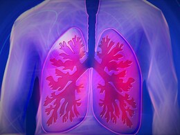 Lung Cancer: सिगरेट नहीं पीने वालों को भी क्यों हो रहा लंग कैंसर? जानिए कारण, लक्षण और बचाव Lung Cancer: सिगरेट नहीं पीने वालों को भी क्यों हो रहा लंग कैंसर? जानिए कारण, लक्षण और बचाव