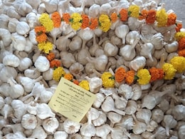 Garlic Price Hike: प्याज के बाद लहसुन ने बिगाड़ा खाने का स्वाद, 100-150 से सीधे 500 रुपये Kg तक पहुंची कीमत