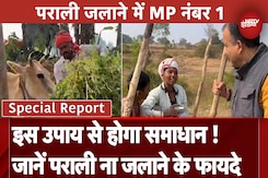 Stubble Burning: पराली जलान में सबसे आगे कैसे पहुंचा Madhya Pradesh? आदिवासी किसानों ने बताया समाधान Stubble Burning: पराली जलान में सबसे आगे कैसे पहुंचा Madhya Pradesh? आदिवासी किसानों ने बताया समाधान