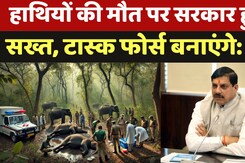 Bandhavgarh Tiger Reserve: हाथियों की मौत पर सरकार हुई सख्त, Task Force बनाएंगे: CM Mohan Yadav