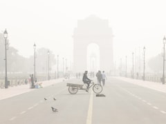 Delhi Civic Body To Install Mist Sprayers On Electric Poles To Fight Air Pollution