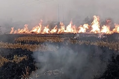 Centre Doubles Fines On Stubble Burning Amid Delhi's Air Quality Crisis Centre Doubles Fines On Stubble Burning Amid Delhi's Air Quality Crisis