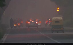 Cloud Seeding Not Feasible: Pollution Control Board Amid Delhi's Smog Crisis