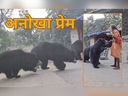कुटिया पर हर रोज आते हैं 4 भालू, साधू बाबा खिलाते हैं प्रसाद... देखने वाले हैरान!