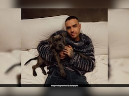 Liam Payne's Death: 5 Indicted For Manslaughter, Supplying Drugs To Singer