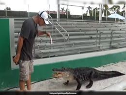 Watch: This Alligator Named Darth Gator Only Emerges To His Iconic 'Theme Song' Watch: This Alligator Named Darth Gator Only Emerges To His Iconic 'Theme Song'