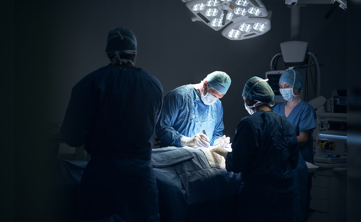 The Art of Baking: From Classic Bread to Artisan Pastries