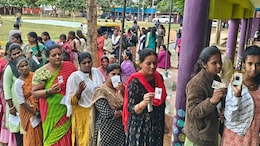Priyanka Gandhi's Debut, Bypolls In 31 Assembly Seats: All You Need To Know