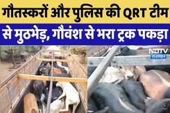 Rajasthan News : गौतस्करों और पुलिस की QRT टीम से मुठभेड़, गौवंश से भरा Truck पकड़ा Rajasthan News : गौतस्करों और पुलिस की QRT टीम से मुठभेड़, गौवंश से भरा Truck पकड़ा