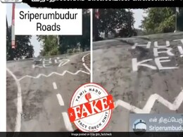 'This Is Indonesian Road': Tamil Nadu Fact-Checks Pothole Video 'This Is Indonesian Road': Tamil Nadu Fact-Checks Pothole Video