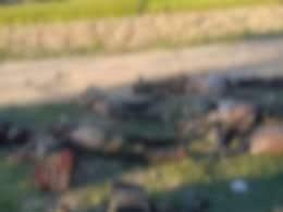 मणिपुर के जिरीबाम में 10 कुकी उग्रवादी मारे गए, CRPF का एक जवान घायल मणिपुर के जिरीबाम में 10 कुकी उग्रवादी मारे गए, CRPF का एक जवान घायल