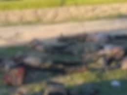 10 Suspected Kuki Insurgents Killed In Gunfight In Manipur's Jiribam, Curfew Imposed 10 Suspected Kuki Insurgents Killed In Gunfight In Manipur's Jiribam, Curfew Imposed