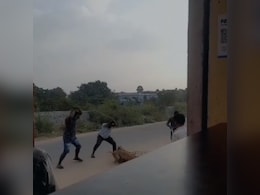 3 Street Dogs, Including One Pregnant, Brutally Thrashed To Death In Telangana