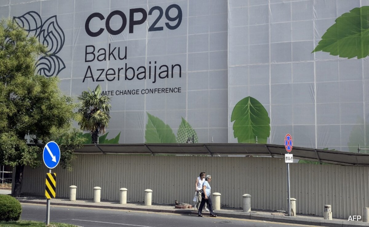 'No Progress At COP29 In Matters Critical For Developing Nations': India 'No Progress At COP29 In Matters Critical For Developing Nations': India