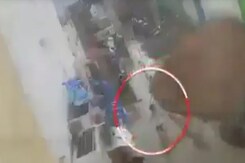 Video: Boy, 2, Attacked By Dogs While Playing Outside Home In Hyderabad Video: Boy, 2, Attacked By Dogs While Playing Outside Home In Hyderabad