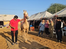 पुष्कर अंतरराष्ट्रीय पशु मेला: जानें अब कैसे लाए जाते हैं सैकड़ों किलोमीटर की पैदल यात्रा तय करने वाले ये घोड़े? पुष्कर अंतरराष्ट्रीय पशु मेला: जानें अब कैसे लाए जाते हैं सैकड़ों किलोमीटर की पैदल यात्रा तय करने वाले ये घोड़े?