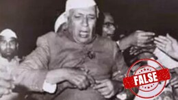 Was Ex PM Jawaharlal Nehru "Slapped" By Spiritual Leader? A Fact Check