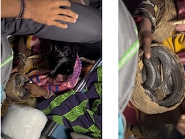 लोगों से खचाखच भरी ट्रेन में कोबरा लेकर चढ़ा शख्स, जनरल बोगी के इस वायरल वीडियो पर आए ताबड़तोड़ व्यूज लोगों से खचाखच भरी ट्रेन में कोबरा लेकर चढ़ा शख्स, जनरल बोगी के इस वायरल वीडियो पर आए ताबड़तोड़ व्यूज