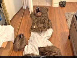 Men Dressed As Bears Destroy Their Own Luxury Cars For Insurance Money Men Dressed As Bears Destroy Their Own Luxury Cars For Insurance Money