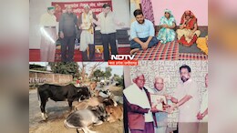 दर्दनाक : आवारा गोवंशों ने घर जा रहे साहित्यकार को बुरी तरह कुचला, चली गई जान