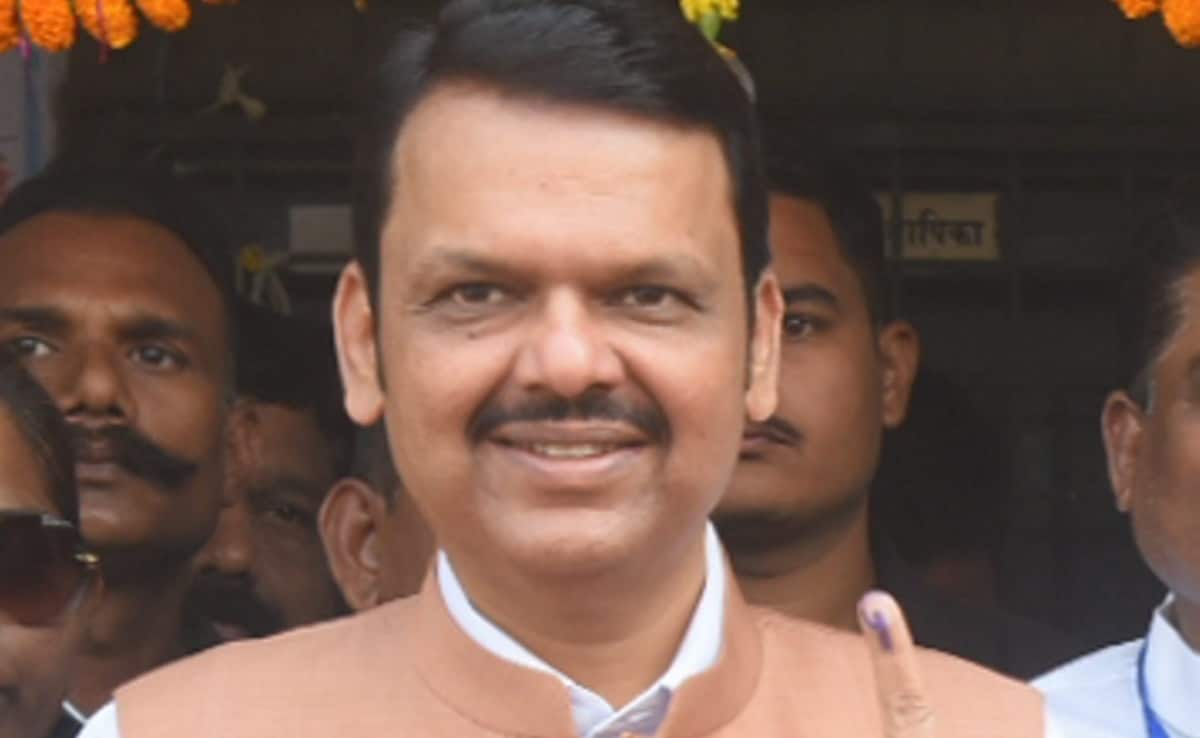 "Jharkhand Election Fair But If We...": D Fadnavis On Opposition's EVM Moans