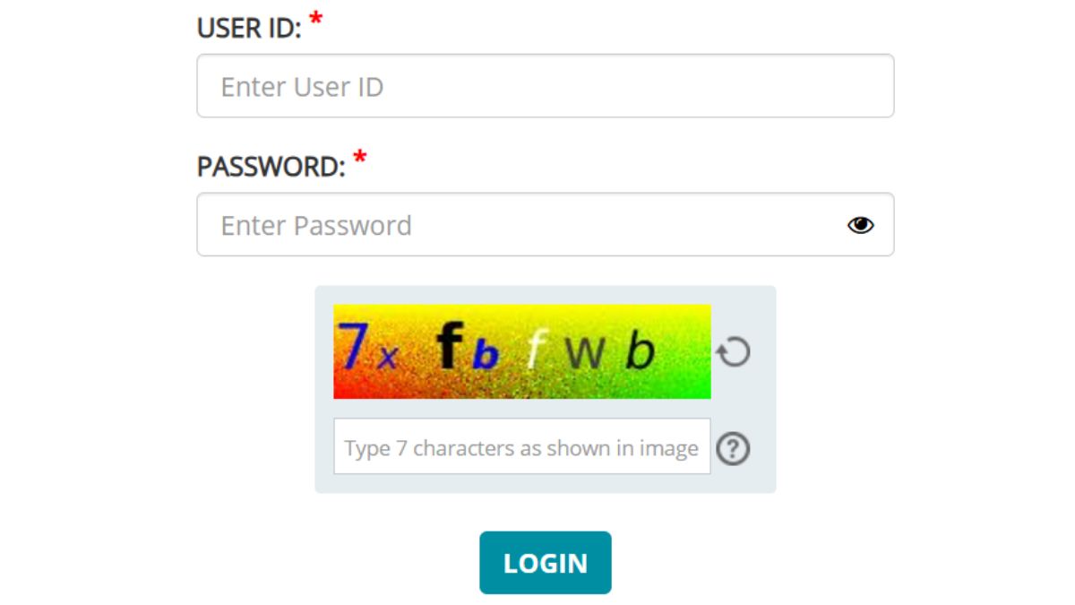 Common Admission Test (CAT) 2024 Response Sheet Out, Check What's Next