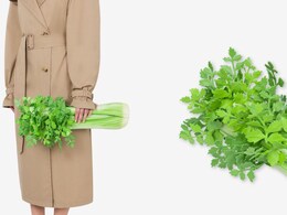 Moschino Introduces Food-Inspired Celery Clutch At A Whopping Price Of Rs 3.75 Lakh Moschino Introduces Food-Inspired Celery Clutch At A Whopping Price Of Rs 3.75 Lakh