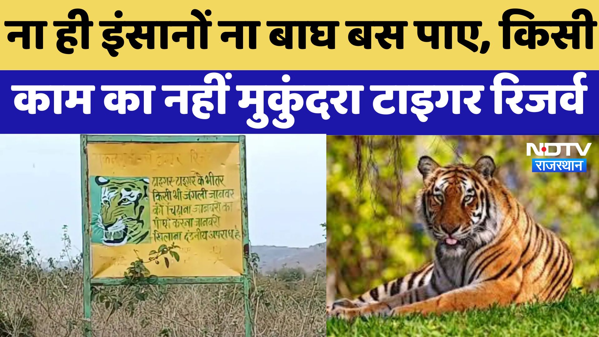Mukundara Tiger Reserve : ना ही इंसानों ना बाघ बस पाए, किसी काम का नहीं मुकुंदरा टाइगर रिजर्व