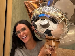 Demi Moore’s Pet Chihuahua Pilaf “Says Thank You” For Birthday Wishes Demi Moore’s Pet Chihuahua Pilaf “Says Thank You” For Birthday Wishes