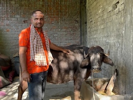 सपने टूटे, उम्मीदें बिखरी ! MP के लाखों युवाओं की सरकारी नौकरी की आस अधूरी