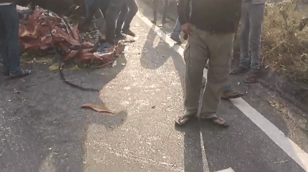 हरदोई में ट्रकों की टक्कर के बाद जब सड़क पर अंडों के लिए मच गई लूट, देखिए जरा