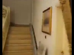 Video: Syria Rebels Inside Presidential Palace, Tear Assad Family Portraits