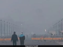 Here's How Long Term Exposure To Air Pollution Affects Your Health