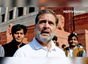 Opinion | What Mamdani Can Teach The Congress - And Rahul Gandhi