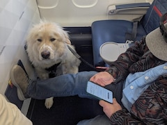 Delta Airline Passenger Gets Frustrated After His First-Class Seat Was Given To Service Dog
