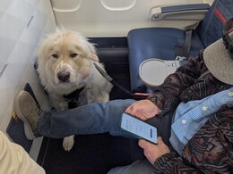 Delta Airline Passenger Gets Frustrated After His First-Class Seat Was Given To Service Dog Delta Airline Passenger Gets Frustrated After His First-Class Seat Was Given To Service Dog