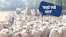 CG Dhan Kharidi: धान खरीदी केंद्र को बने हो गए 100 साल लेकिन अब तक नहीं बन पाया चबूतरा... लगातार सामने आ रही अव्यवस्था