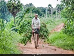 National Farmer's Day 2024: Know History, Significance And Theme Of This Day National Farmer's Day 2024: Know History, Significance And Theme Of This Day