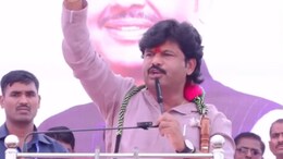 '.... आणि रणजीतसिंह मोहिते पाटलांना राणेंनी हाकलून लावले', गोपीचंद पडाळकर यांचा गौप्यस्फोट